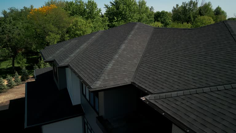 Best Roof Moss and Algae Removal  in Laurel, MD